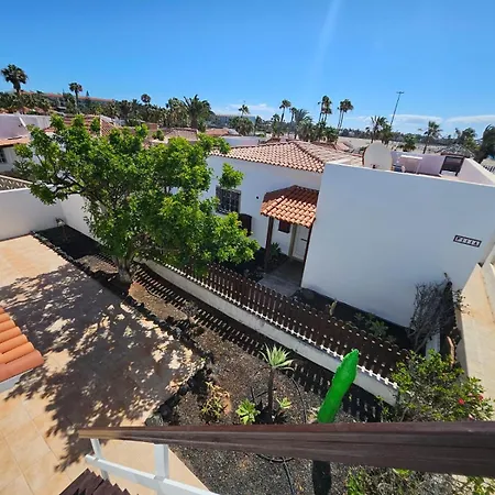 Leon Caleta De Fuste