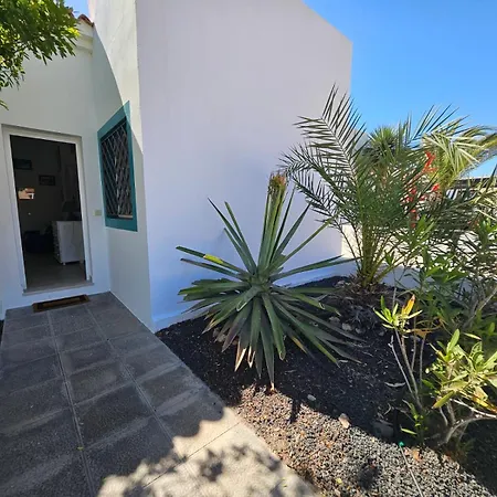 Leon Caleta de Fuste